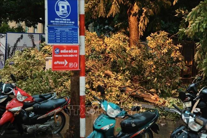 Hà Nội: Dông lốc thổi mạnh gây đổ nhiều phương tiện - Ảnh 3.