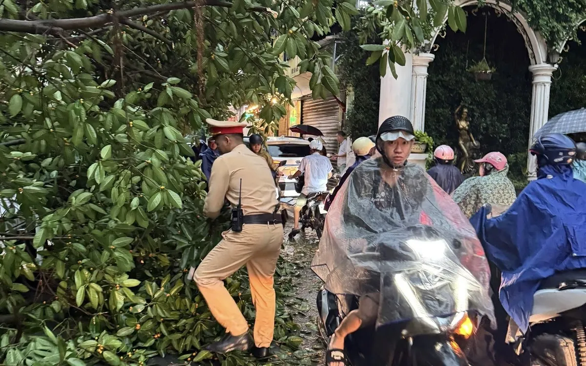 Nhiều tuyến đường có cây xanh gãy đổ gây mất an toàn giao thông. Nhiều tuyến đường có cây xanh gãy đổ gây mất an toàn giao thông.