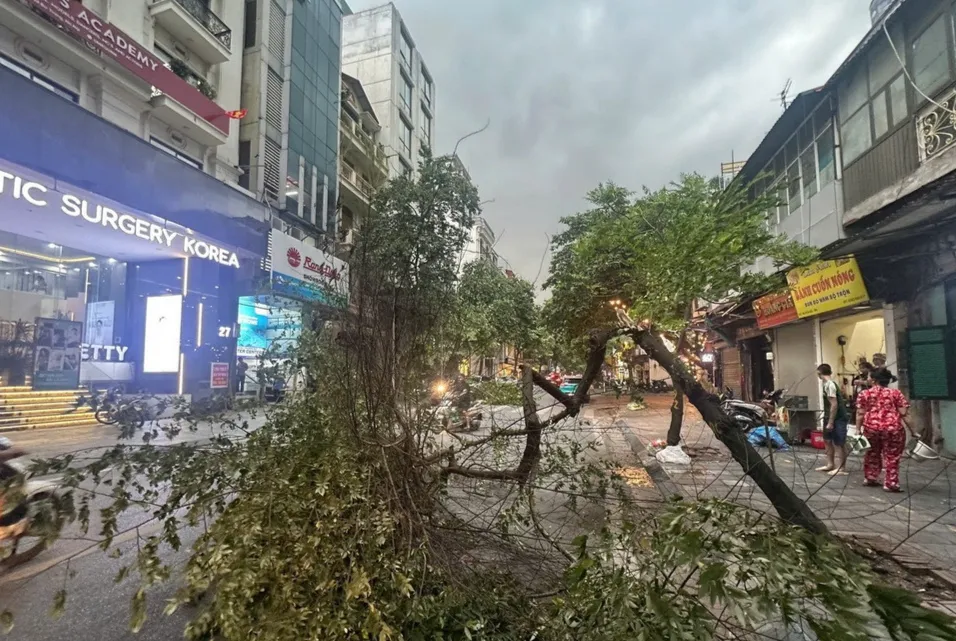 Mưa dông mạnh ở miền Bắc quật đổ nhiều cây xanh, hàng loạt nhà cửa, công trình bị tốc mái - Ảnh 1.