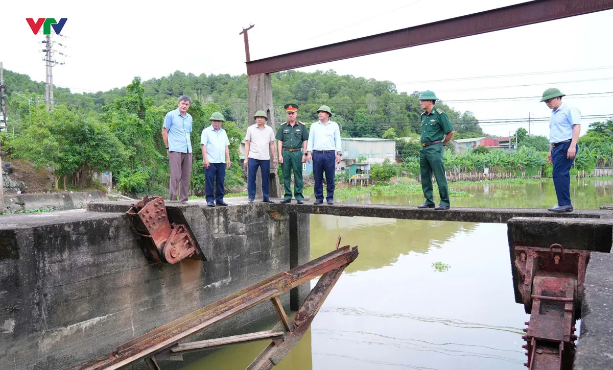 Nghệ An: Kêu gọi hàng nghìn người vào nơi neo đậu ứng phó với bão số 3 - Ảnh 1.