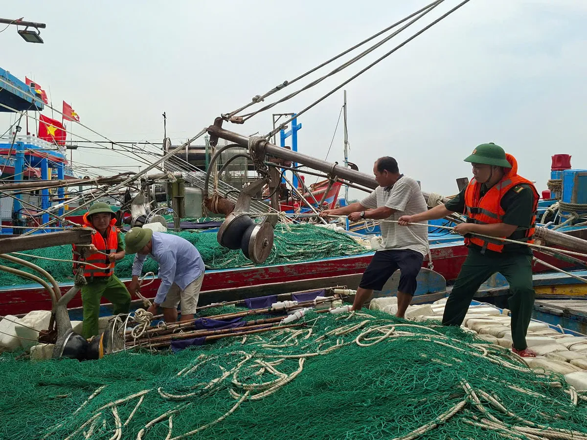 Ninh B&igrave;nh: Nhiều t&agrave;u thuyền đ&atilde; v&agrave;o bờ tr&aacute;nh tr&uacute; b&atilde;o an to&agrave;n- Ảnh 1.