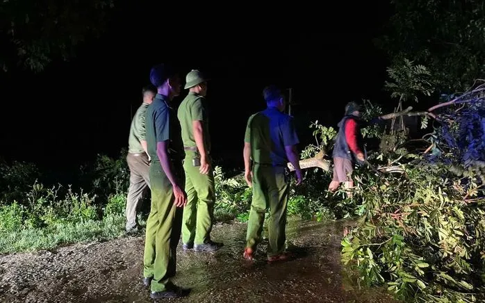 Mưa to, gió lớn khiến nhiều xây xanh trên địa bàn tỉnh Nghệ An bị gãy đổ (Ảnh: NLĐ) Mưa to, gió lớn khiến nhiều xây xanh trên địa bàn tỉnh Nghệ An bị gãy đổ (Ảnh: NLĐ)