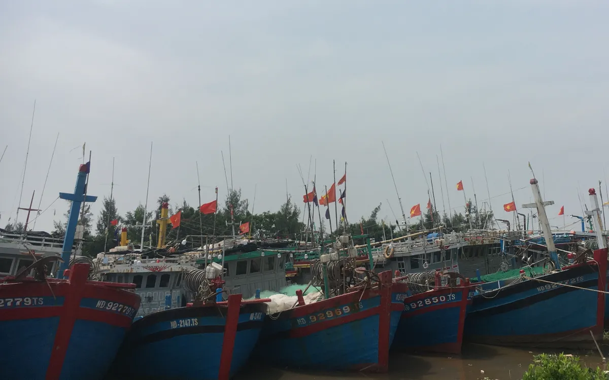 Tàu thuyền cập bến tại Cảng cá Ninh Cơ.