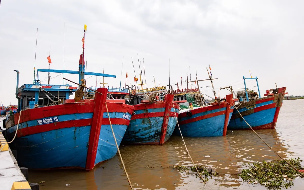 Nhiều tàu thuyền đã cập bến an toàn tại Cảng cá Ninh Cơ (xã Hải Thịnh, tỉnh Ninh Bình)
