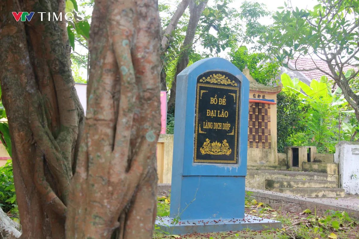 Chi&ecirc;m ngưỡng c&acirc;y Bồ Đề hơn 900 tuổi - Ảnh 8.