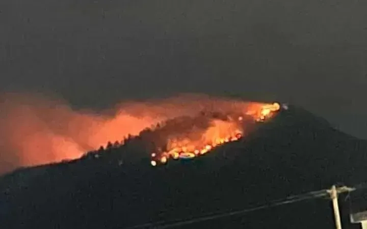 Đến tối, đám cháy bất ngờ bùng phát trở lại thiêu rụi 2ha rừng keo (Nguồn: PLO)