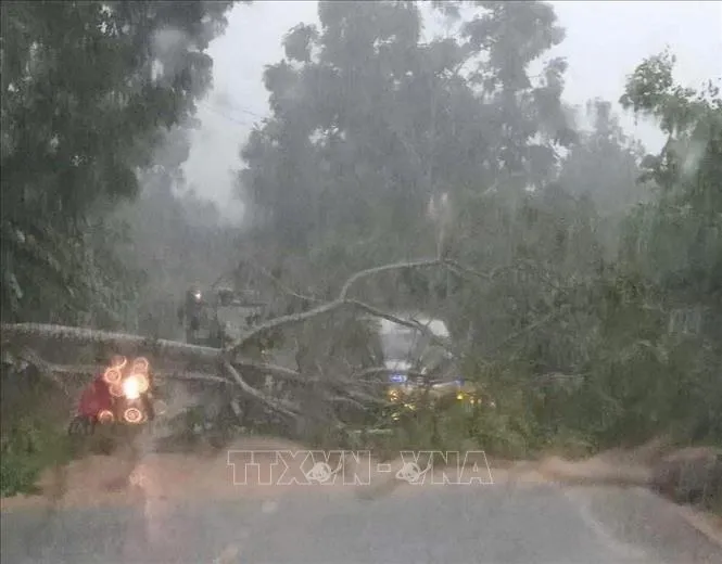 Nhiều c&acirc;y xanh, c&ocirc;ng tr&igrave;nh d&acirc;n dụng bị hư hại do b&atilde;o số 3 - Ảnh 1.