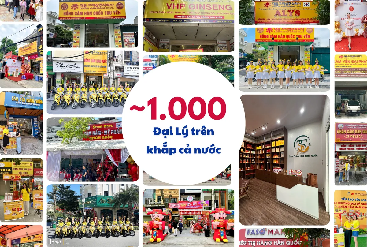 Daedong Korea Ginseng (DKG) – 15 năm giữ vững vị thế sâm Hàn chính hãng tại Việt Nam- Ảnh 2. Daedong Korea Ginseng (DKG) – 15 năm giữ vững vị thế sâm Hàn chính hãng tại Việt Nam- Ảnh 2.