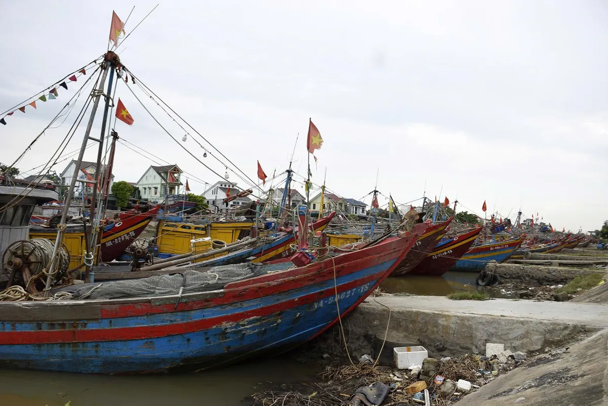 Nghệ An cấm tất cả các loại tàu thuyền và phương tiện vận tải ra khơi từ 5h ngày 21/7 - Ảnh 1.