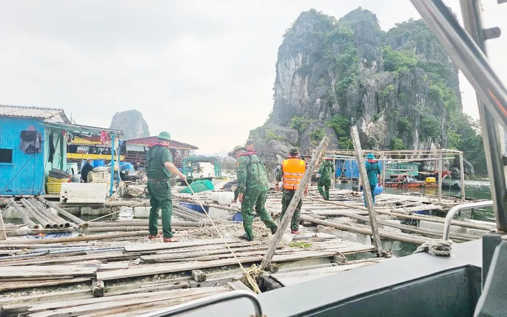 Cán bộ, chiến sĩ Đồn Biên phòng Hạ Long giúp ngư dân trên địa bàn đặc khu Vân Đồn chằng buộc lồng bè ứng phó bão Wipha. Ảnh: Báo Quảng Ninh