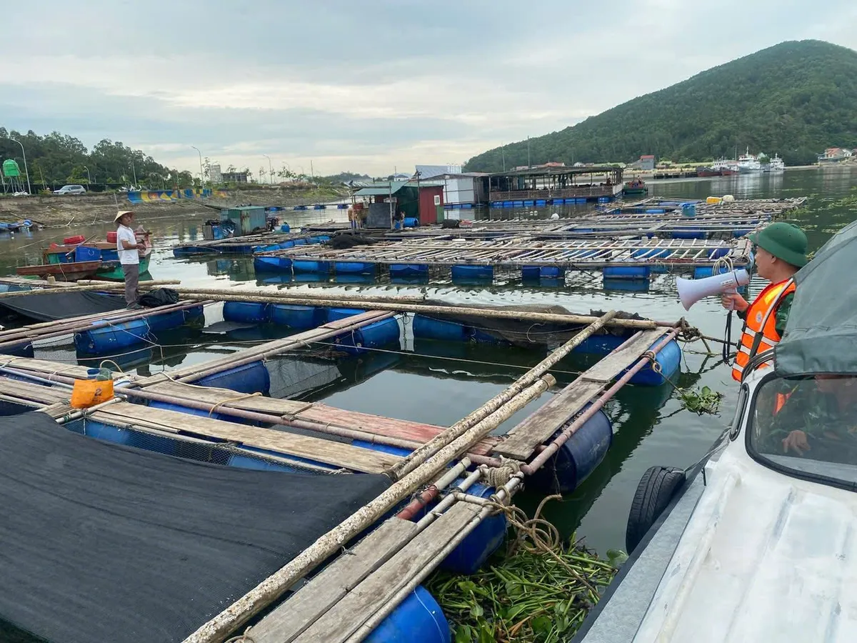 Nghệ An cấm tất cả các loại tàu thuyền và phương tiện vận tải ra khơi từ 5h ngày 21/7 - Ảnh 2.