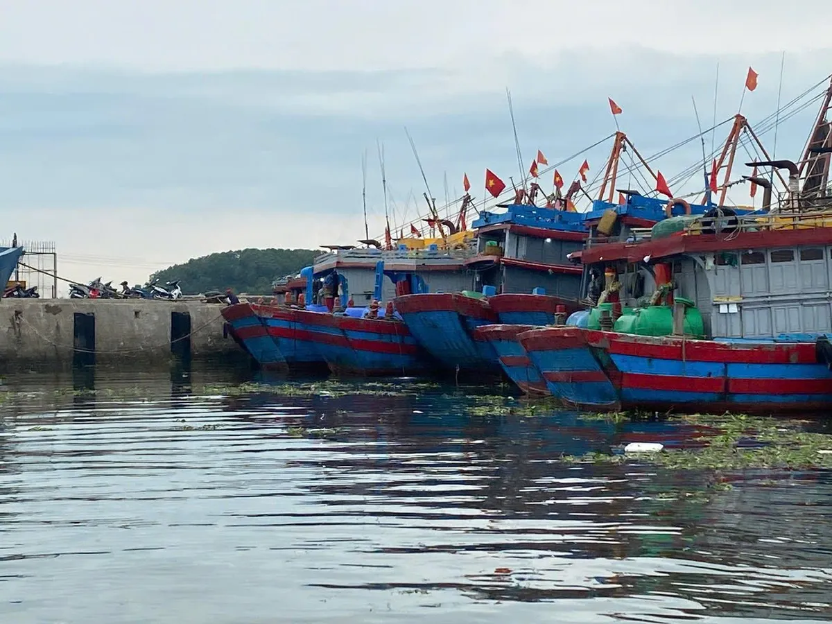 Nghệ An cấm tất cả các loại tàu thuyền và phương tiện vận tải ra khơi từ 5h ngày 21/7 - Ảnh 3.