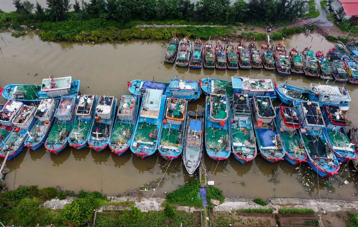 Ninh B&igrave;nh dừng họp kh&ocirc;ng cần thiết, huy động to&agrave;n lực ứng ph&oacute; b&atilde;o số 3 - Ảnh 1.