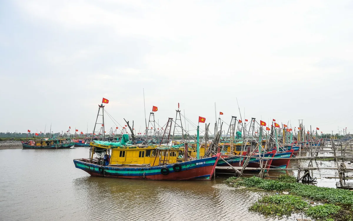 Tàu, thuyền neo đậu an toàn trước giờ bão đổ bộ