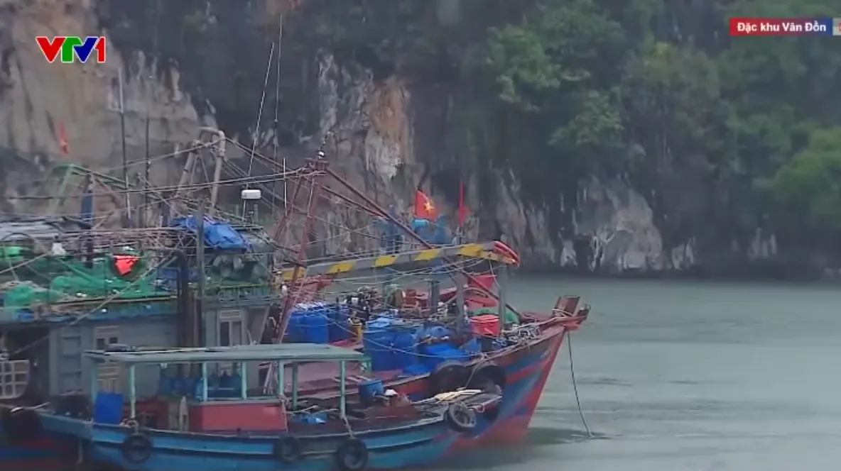 Đặc khu Vân Đồn vào trạng thái khẩn cấp ứng phó bão số 3, không bị động - Ảnh 1.