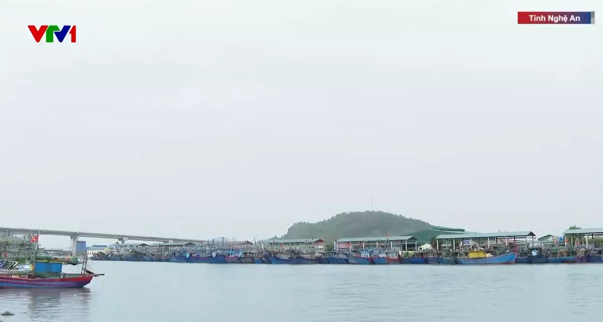 Gần 2.200 tàu, thuyền ở Nghệ An đã về nơi tránh trú bão số 3 - Ảnh 1.