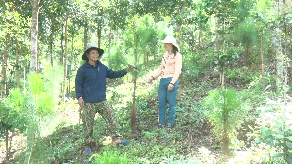 Quảng Ngãi : Xã nghèo không nhận hoa chúc mừng Đại Hội - Ảnh 1.