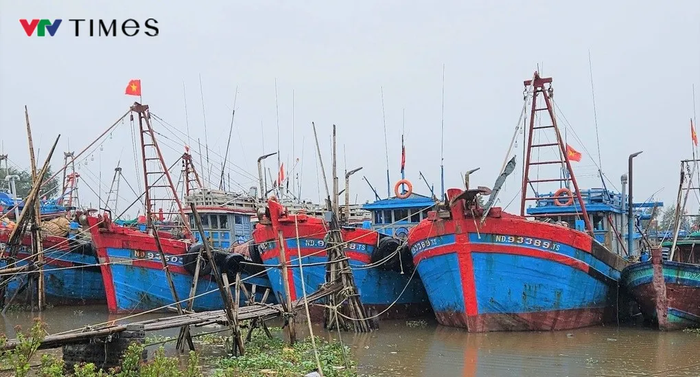 Quyền Bộ trưởng Bộ Nông nghiệp và Môi trường: Ninh Bình không được chủ quan với báo Wipha - Ảnh 2.