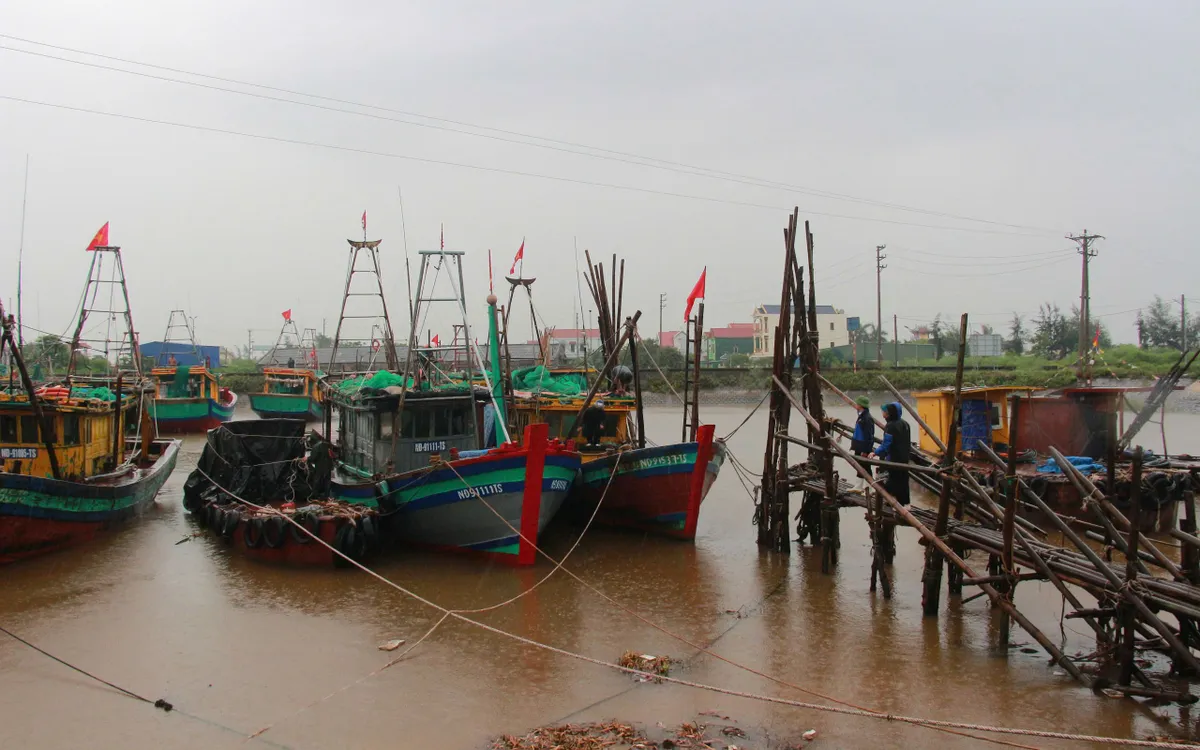 Chính quyền xã Giao Ninh tuyên truyền, hướng dẫn chủ tàu thuyền neo đậu an toàn tại Khu neo đậu Hà Lạn.