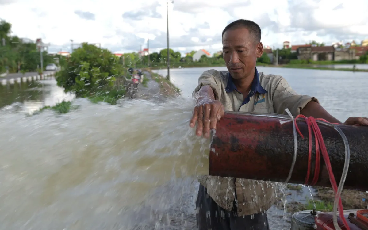 Người dân Ninh Bình bơm nước chống ngập úng cho lúa mùa.