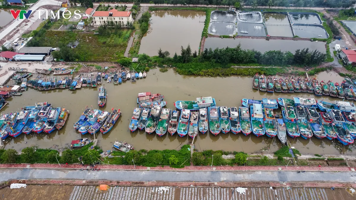 Ninh Bình: Đảm bảo an toàn tuyệt đối cho tàu thuyền trước giờ bão đổ bộ - Ảnh 8.