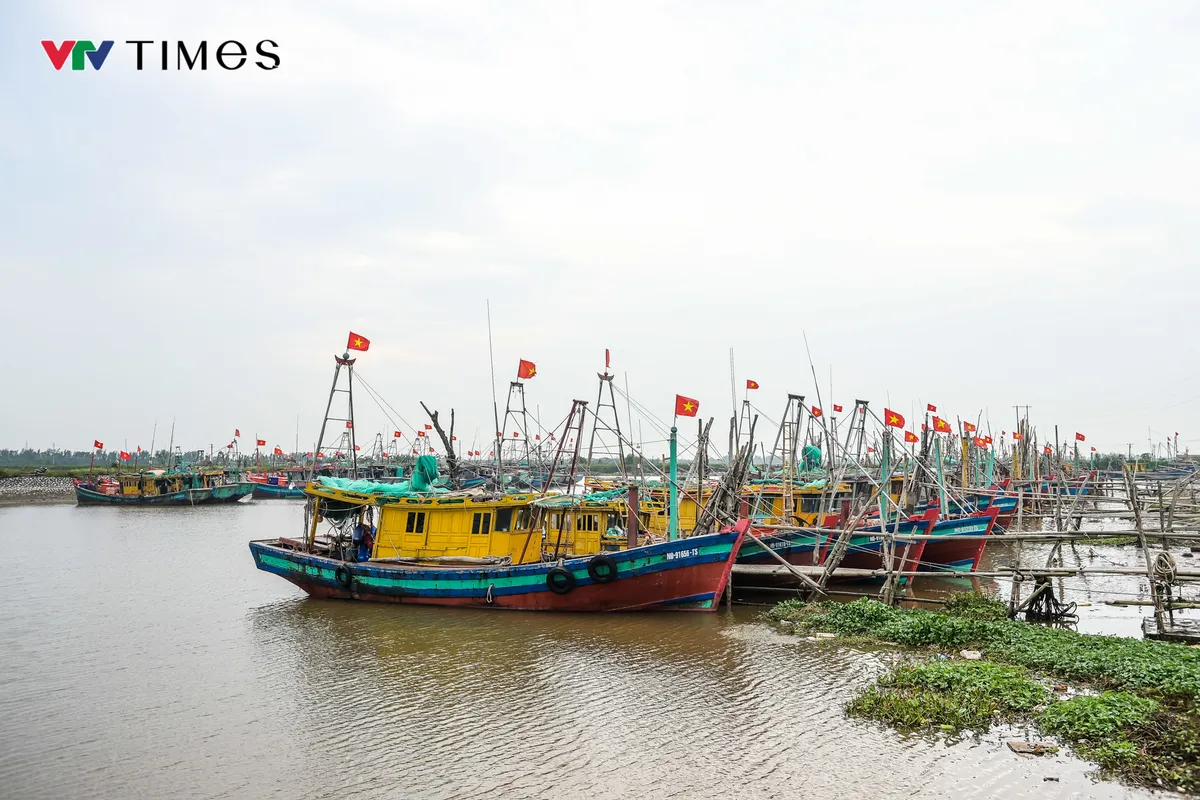 Ninh Bình: Đảm bảo an toàn tuyệt đối cho tàu thuyền trước giờ bão đổ bộ - Ảnh 7.