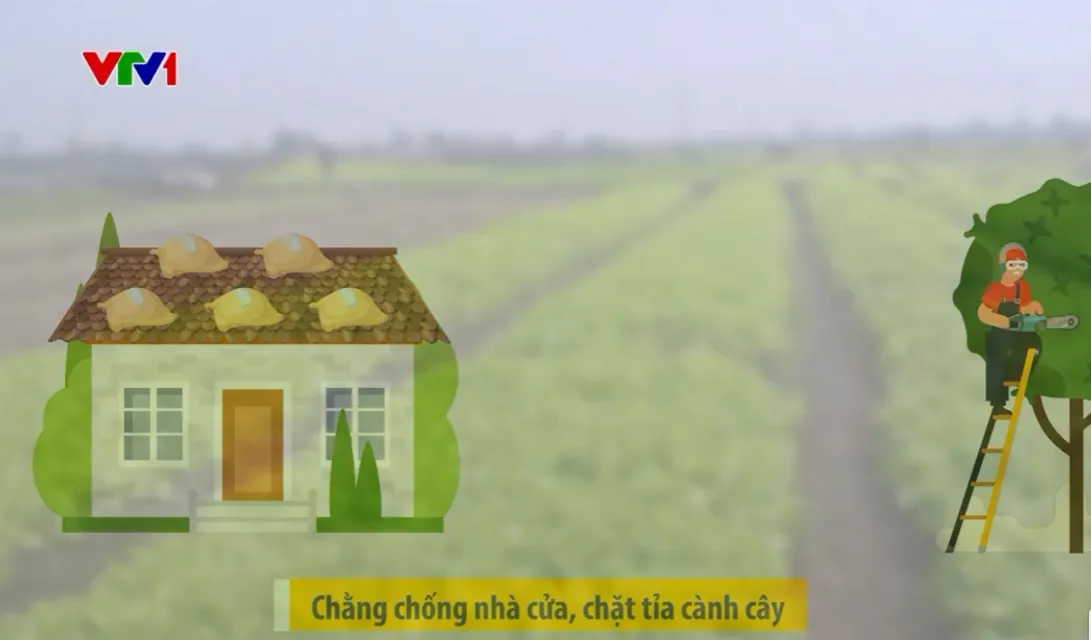 Những việc cần làm trước mưa bão- Ảnh 2. Những việc cần làm trước mưa bão- Ảnh 2.