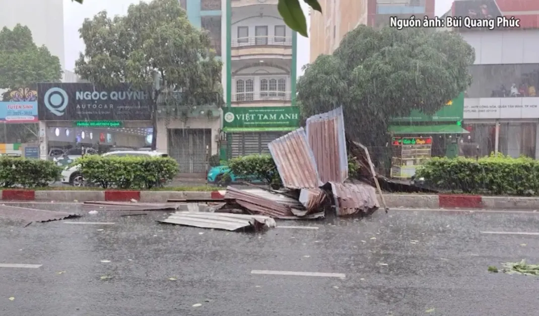 TP Hồ Chí Minh: Mưa to, gió giật mạnh khiến cây xanh gãy đổ hàng loạt - Ảnh 1.