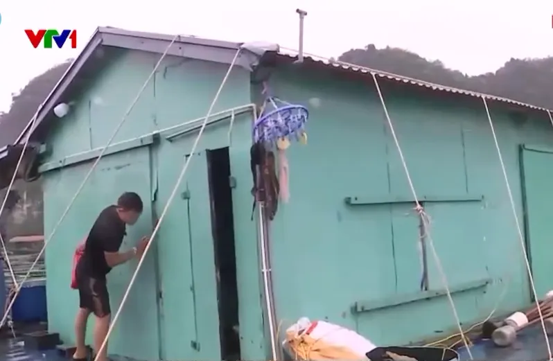 Hải Ph&ograve;ng k&iacute;ch hoạt phương &aacute;n ''4 tại chỗ'' ứng ph&oacute; b&atilde;o số 3- Ảnh 2.