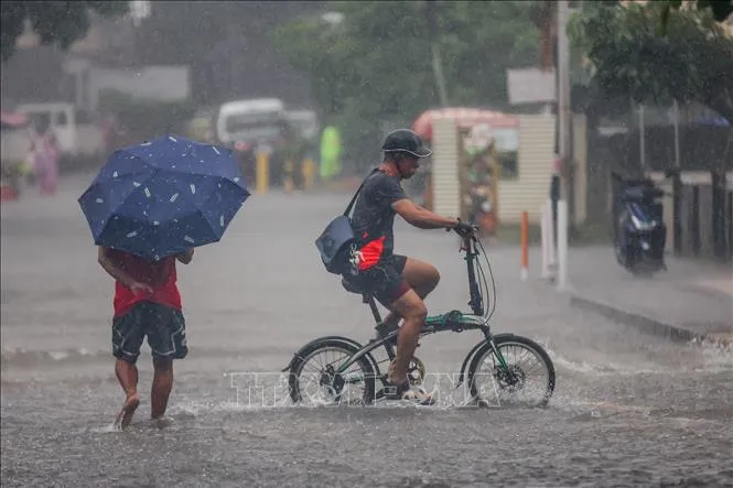 Bão Wipha khiến hơn 30 người bị thương ở Hong Kong (Trung Quốc), 3 người thiệt mạng ở Philippines - Ảnh 2.