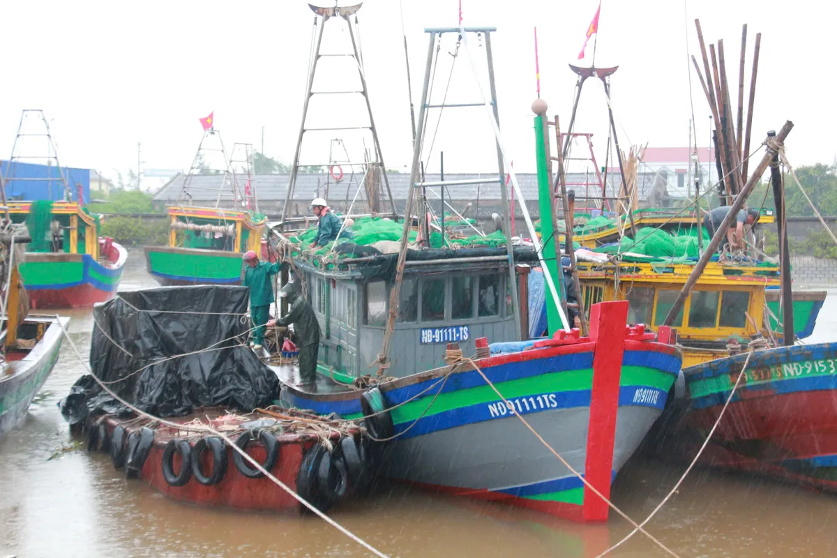 Ninh B&igrave;nh: X&atilde; ven biển chủ động ứng ph&oacute; với b&atilde;o số 3 - Ảnh 1.