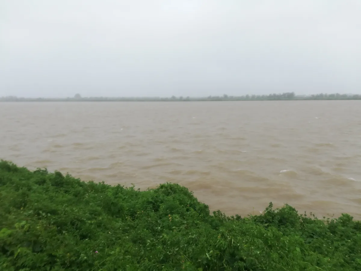 Ninh Bình: Mưa lớn trên diện rộng, nước sông đang dâng cao - Ảnh 2.