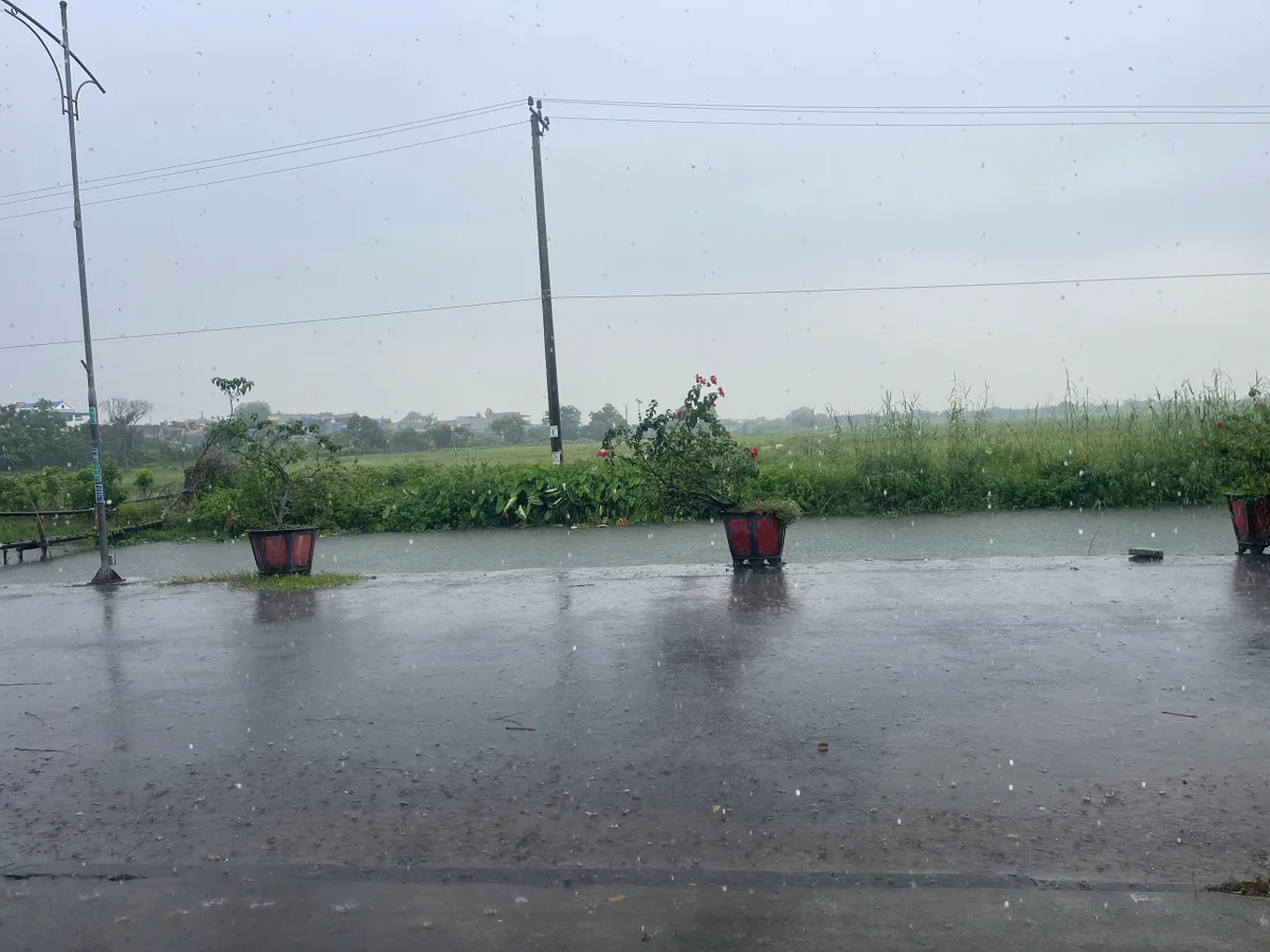 Ninh Bình: Mưa lớn trên diện rộng, nước sông đang dâng cao - Ảnh 4.