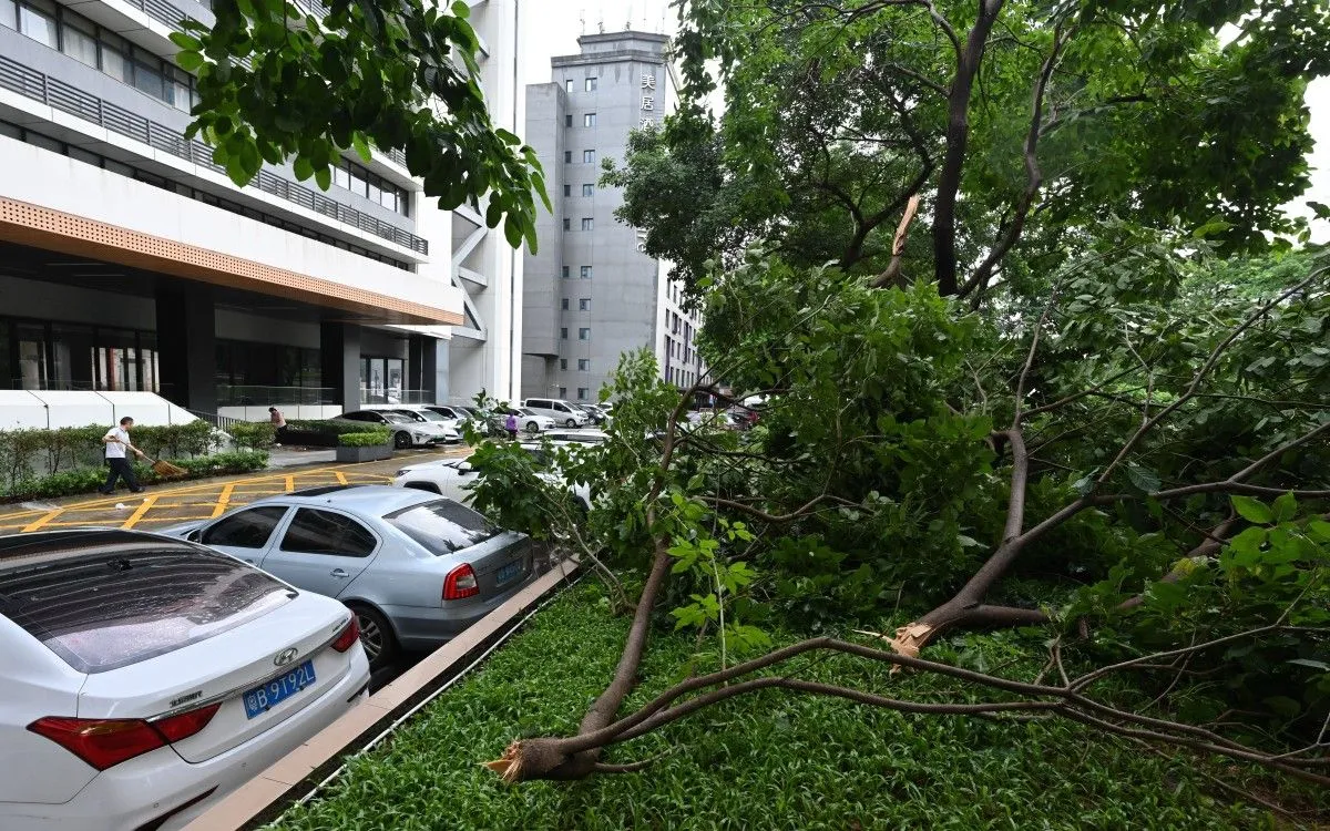 Cây xanh đổ ngổn ngang tại Thâm Quyến sau bão Wipha, ngày 21/7/2025. (Ảnh: AFP) Cây xanh đổ ngổn ngang tại Thâm Quyến sau bão Wipha, ngày 21/7/2025. (Ảnh: AFP)