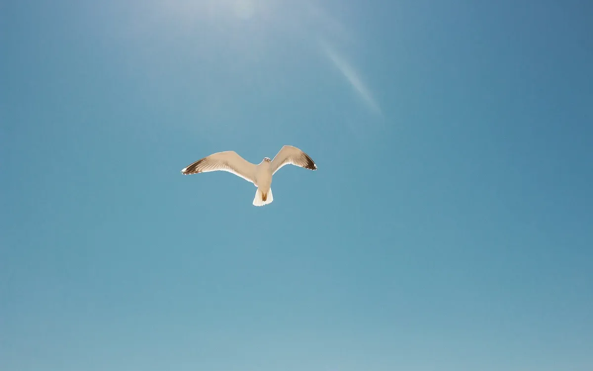 (Ảnh minh hoạ: Unsplash) (Ảnh minh hoạ: Unsplash)