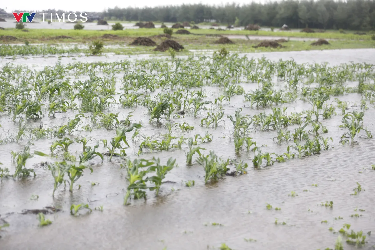 B&atilde;o số 3 Wipha đ&atilde; đổ bộ v&agrave;o Ninh B&igrave;nh - Ảnh 1.