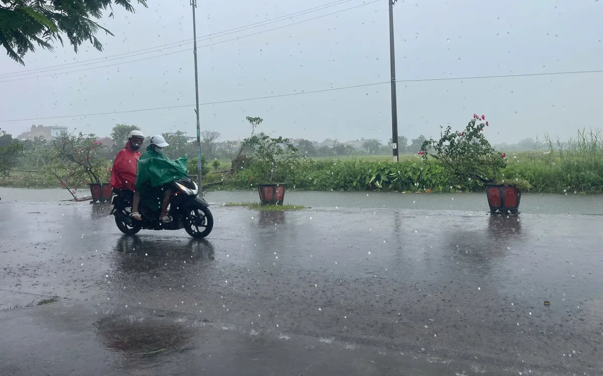 Từ trưa ngày 22/7, người dân cần hạn chế không ra đường trong thời gian bão đổ bộ. Từ trưa ngày 22/7, người dân cần hạn chế không ra đường trong thời gian bão đổ bộ.