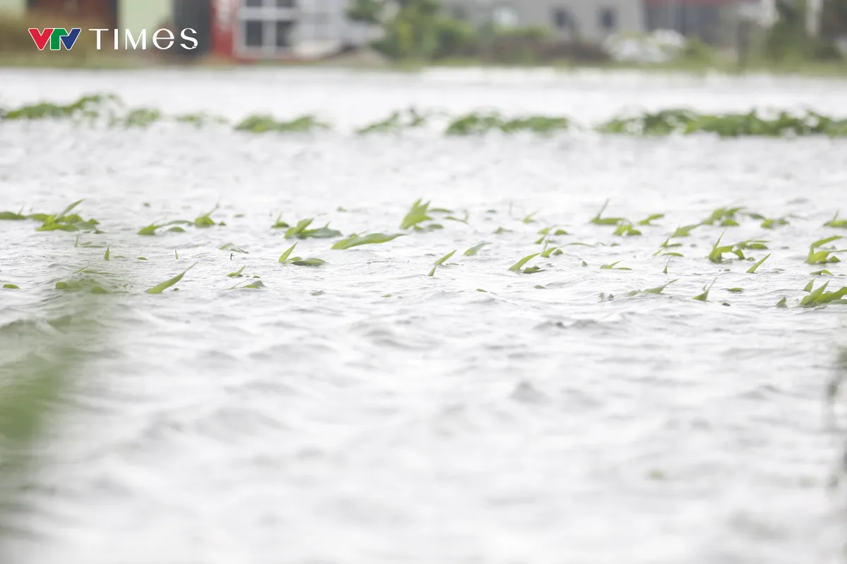 B&atilde;o số 3 Wipha đ&atilde; đổ bộ v&agrave;o Ninh B&igrave;nh - Ảnh 2.