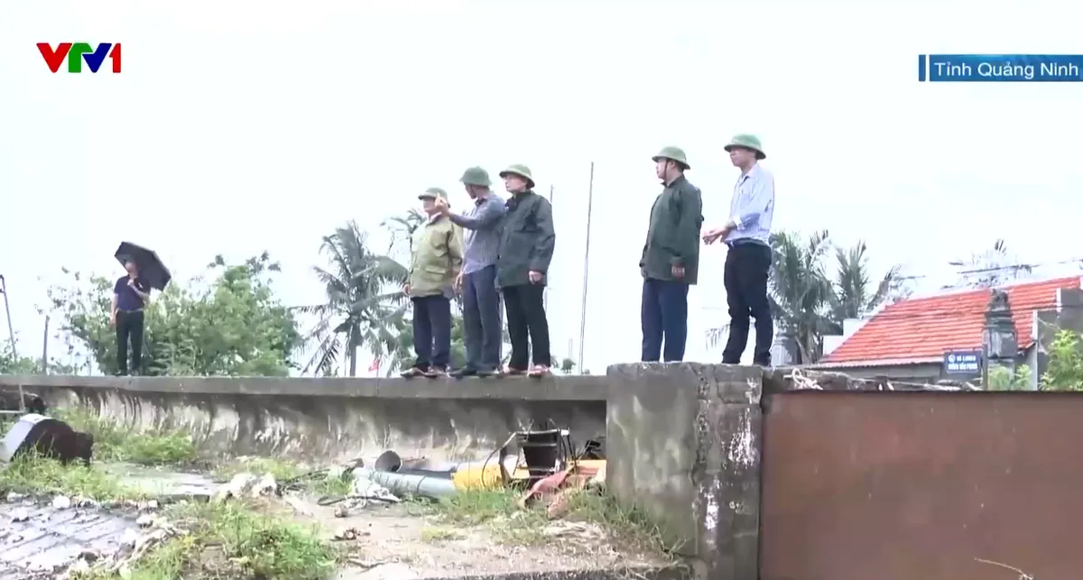 Quảng Ninh sẵn sàng hộ đê, bảo vệ 400 km đê biển - Ảnh 1.