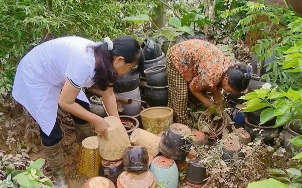 Hình minh họa. Hình minh họa.
