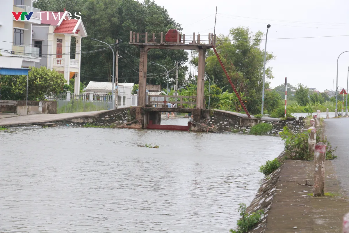Ninh B&igrave;nh tập trung kh&ocirc;i phục sản xuất n&ocirc;ng nghiệp sau b&atilde;o số 3 - Ảnh 1.