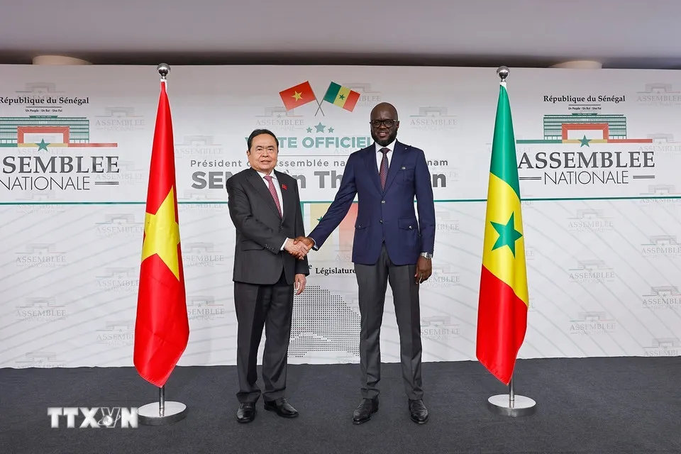 Đưa quan hệ Việt Nam - Senegal đi vào chiều sâu, hiệu quả- Ảnh 2. Đưa quan hệ Việt Nam - Senegal đi vào chiều sâu, hiệu quả- Ảnh 2.