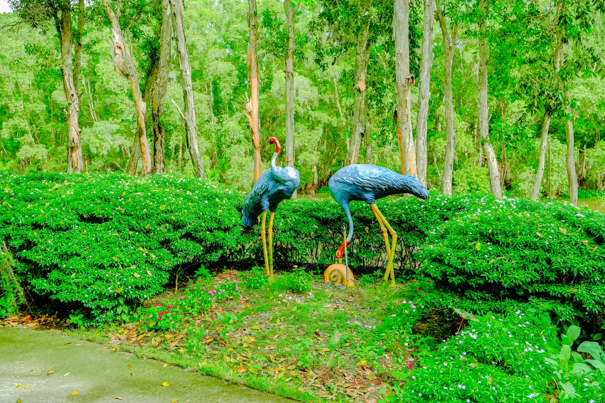 Đồng Tháp xây dựng Tràm Chim thành biểu tượng du lịch sinh thái- Ảnh 1. Đồng Tháp xây dựng Tràm Chim thành biểu tượng du lịch sinh thái- Ảnh 1.