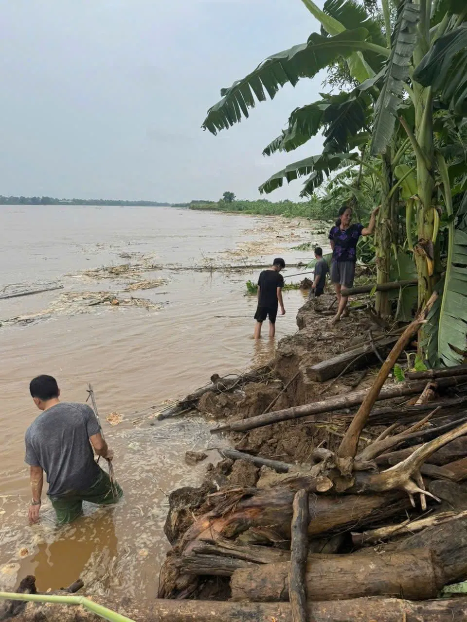 Phú Thọ: Sơ tán 30 hộ dân do bị ngập nặng do ảnh hưởng cơn bão số 3 - Ảnh 2.