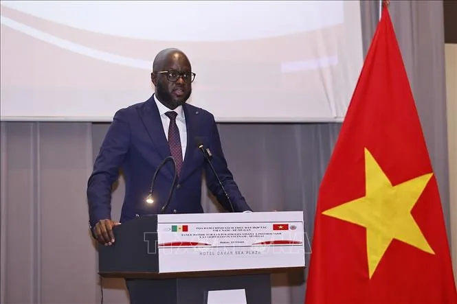 Thúc đẩy hợp tác kinh tế Việt Nam - Senegal- Ảnh 2. Thúc đẩy hợp tác kinh tế Việt Nam - Senegal- Ảnh 2.