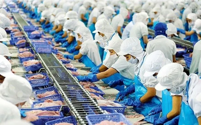 Thủy sản Việt Nam khẳng định vị thế tại thị trường Singapore Thủy sản Việt Nam khẳng định vị thế tại thị trường Singapore