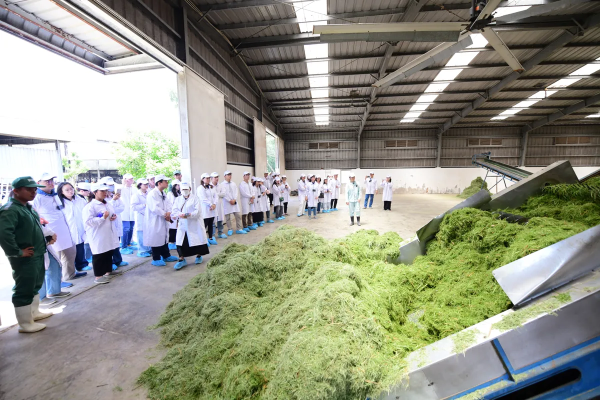 Trang trại Vinamilk Green Farm dưới lăng kính phát triển bền vững có gì đặc biệt?- Ảnh 6.