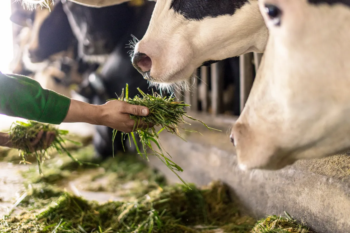 Trang trại Vinamilk Green Farm dưới lăng kính phát triển bền vững có gì đặc biệt?- Ảnh 7.