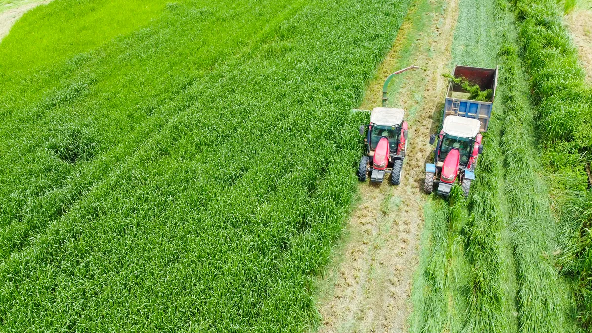 Trang trại Vinamilk Green Farm dưới lăng kính phát triển bền vững có gì đặc biệt?- Ảnh 11.