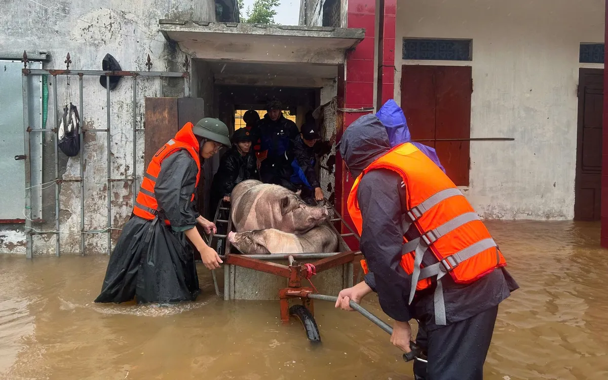 Các lực lượng chức năng giúp người dân di chuyển tài sản đến nơi an toàn.